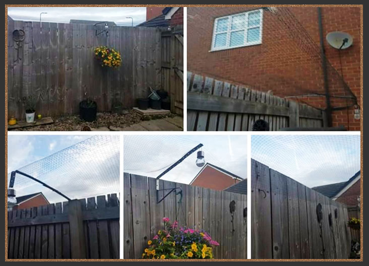 DIY Cat proof fenced garden