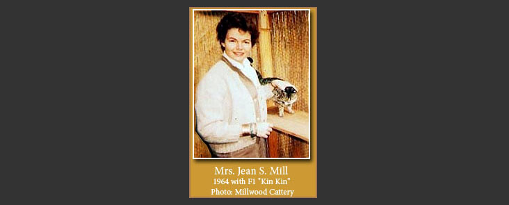 Jean Mill with an F1 hybrid cat called Kin Kin