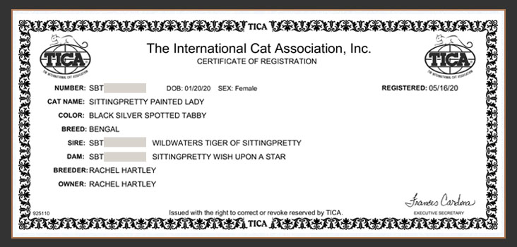Tica Regsitration for Sittingpretty Wish Upon A Star