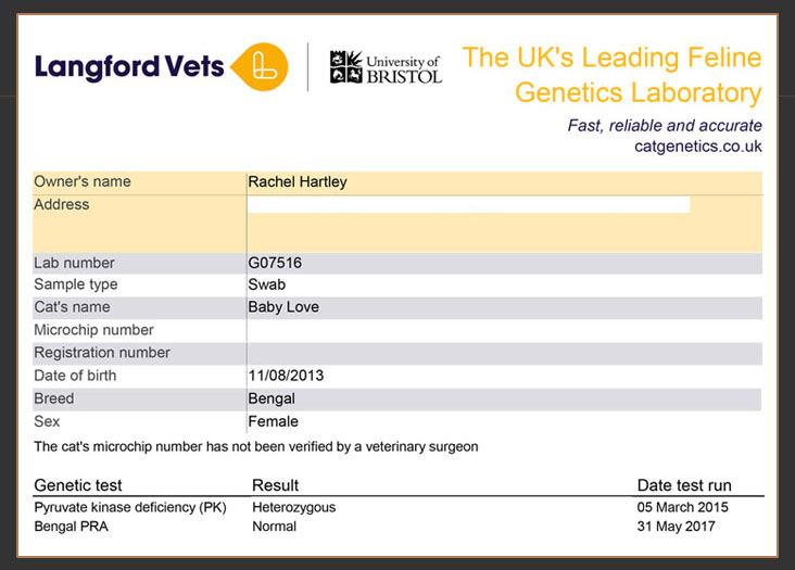 Langford veterinary services genetic test results