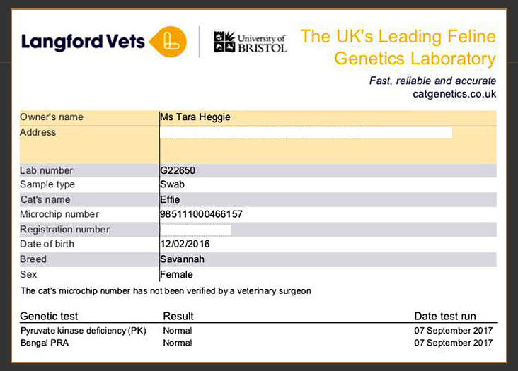 Langford veterinary services genetic test results